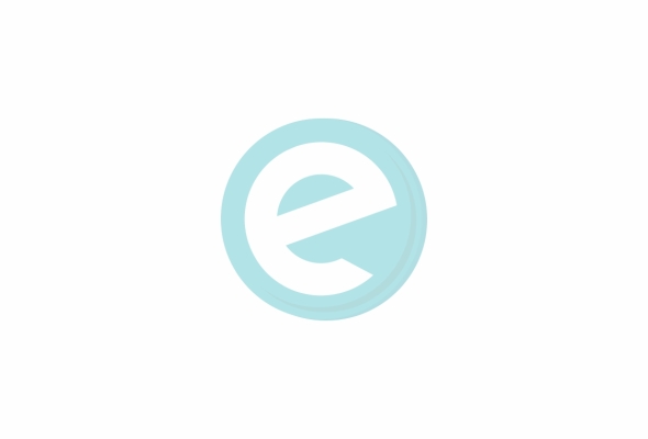 Fried calamari appetizer